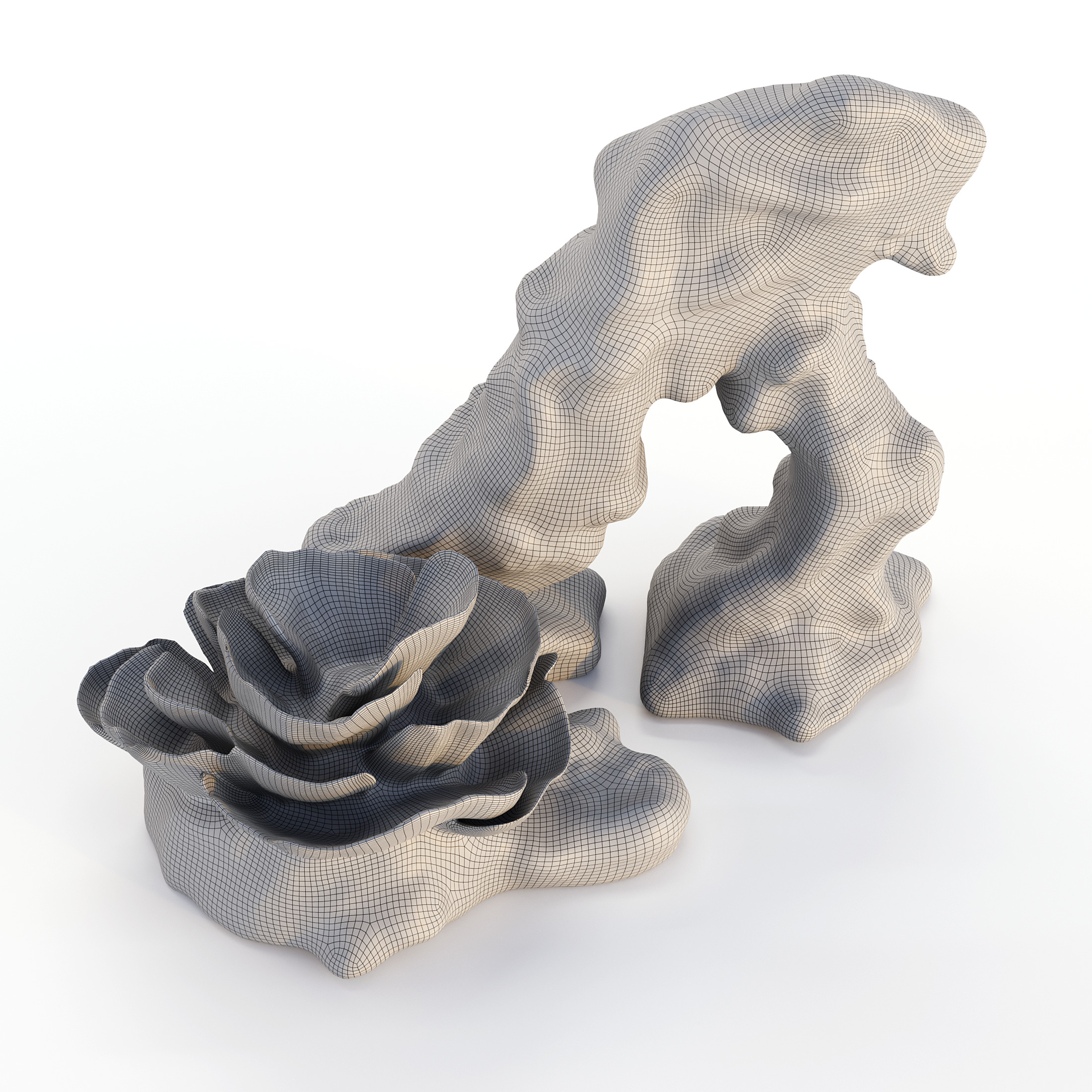 Coral Reef Collection 3D model_6