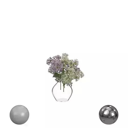 Lilacs in Vase