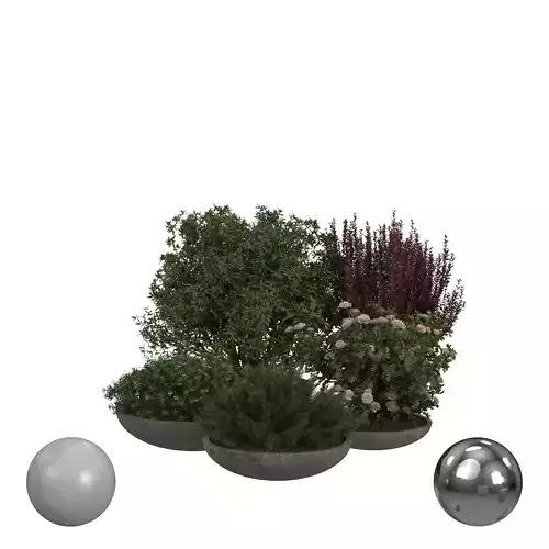 Outdoor Plant collection