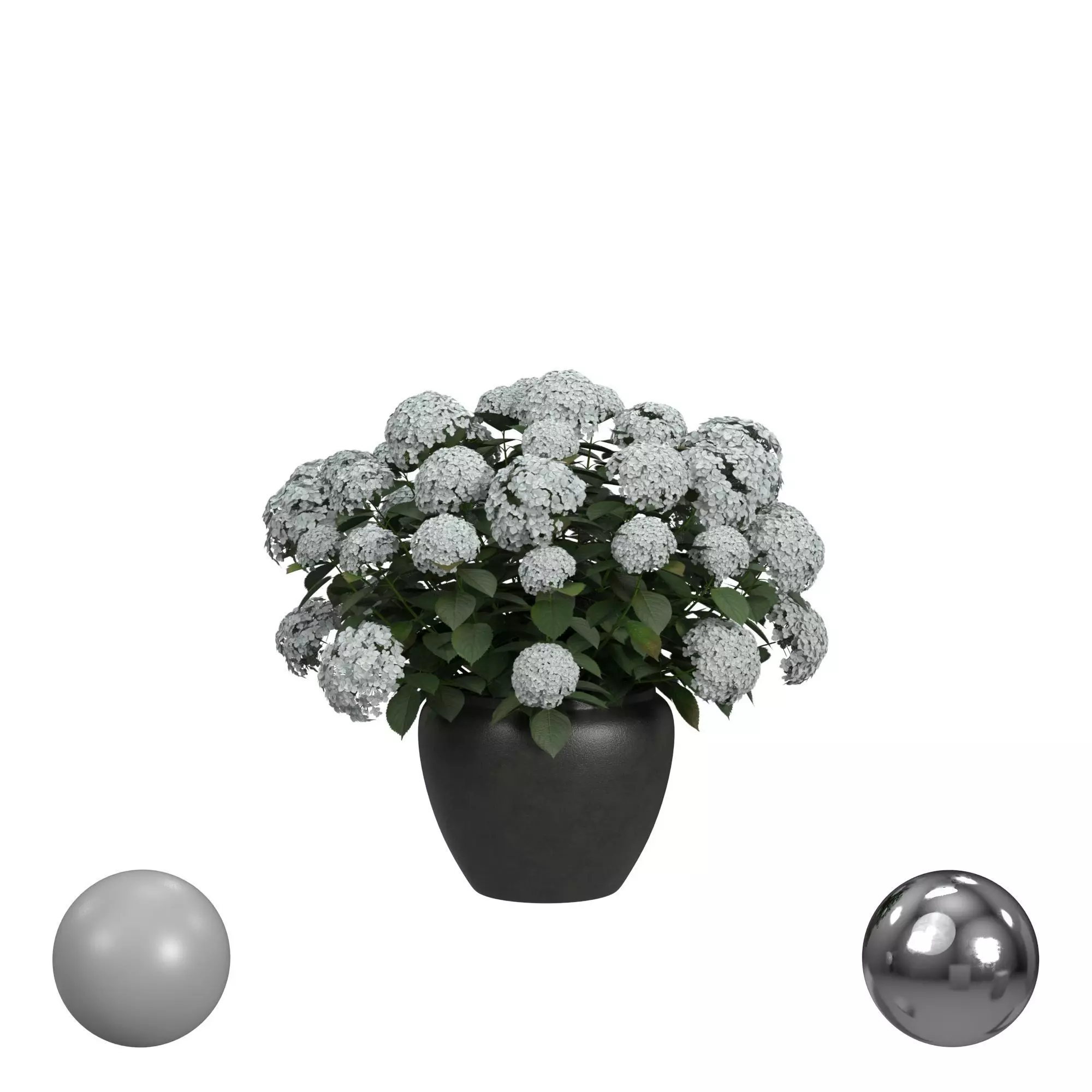 Potted Hydrangea 3D model_0