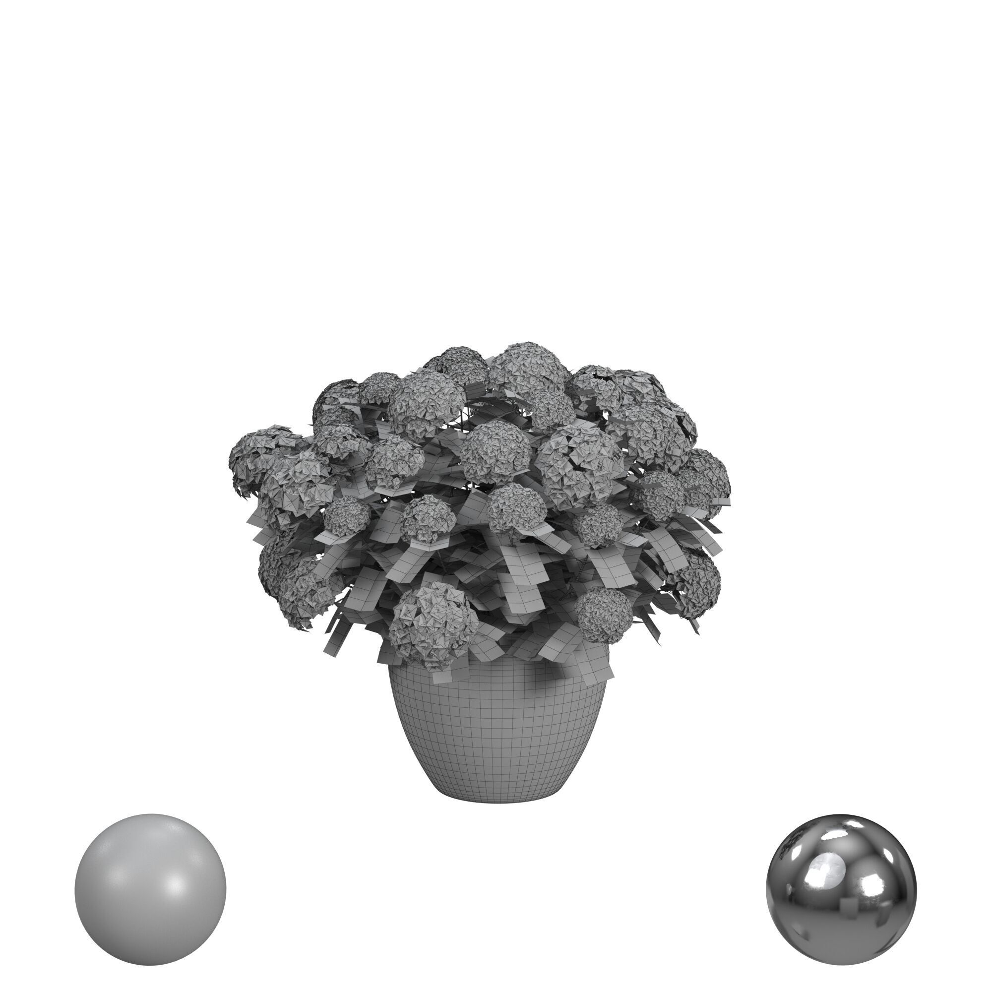 Potted Hydrangea 3D model_3