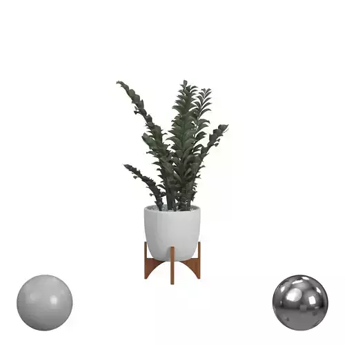 Zanzibar Gem with Wooden Plant Stand