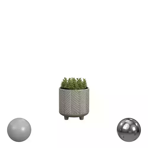 Succulents in Chevron Stoneware Planter