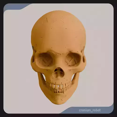 Robot Cranium 3D model