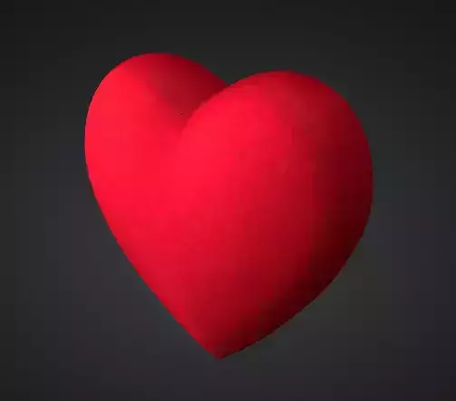 3D Heart Model