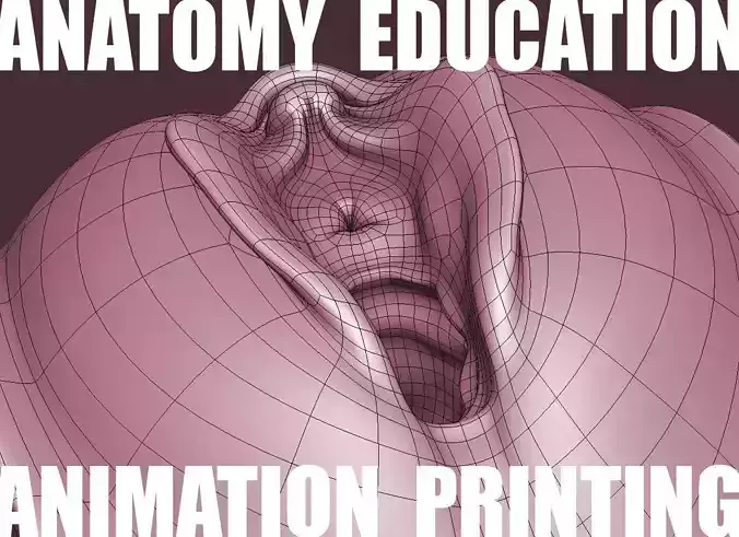 Female Genital Anatomy A-4