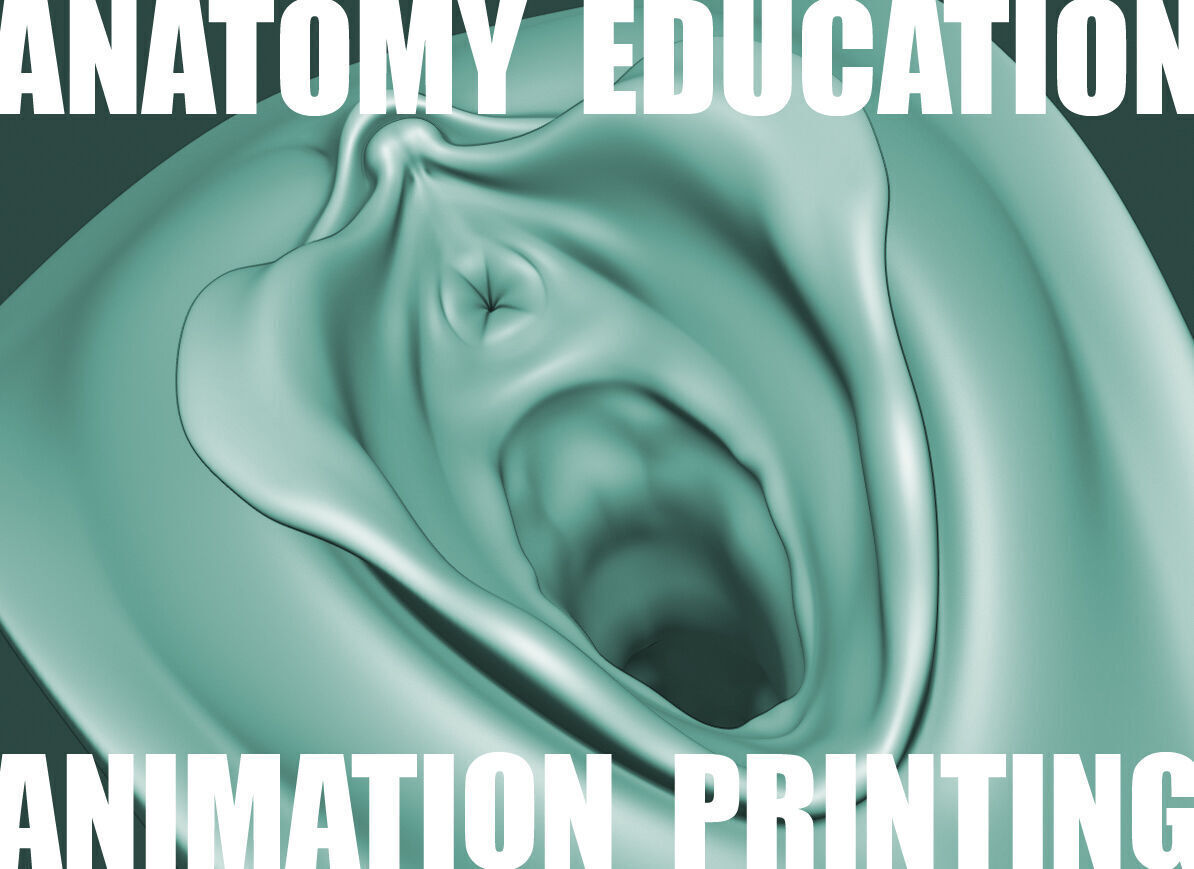 Female Genital Anatomy A-5 Low-poly 3D model_7