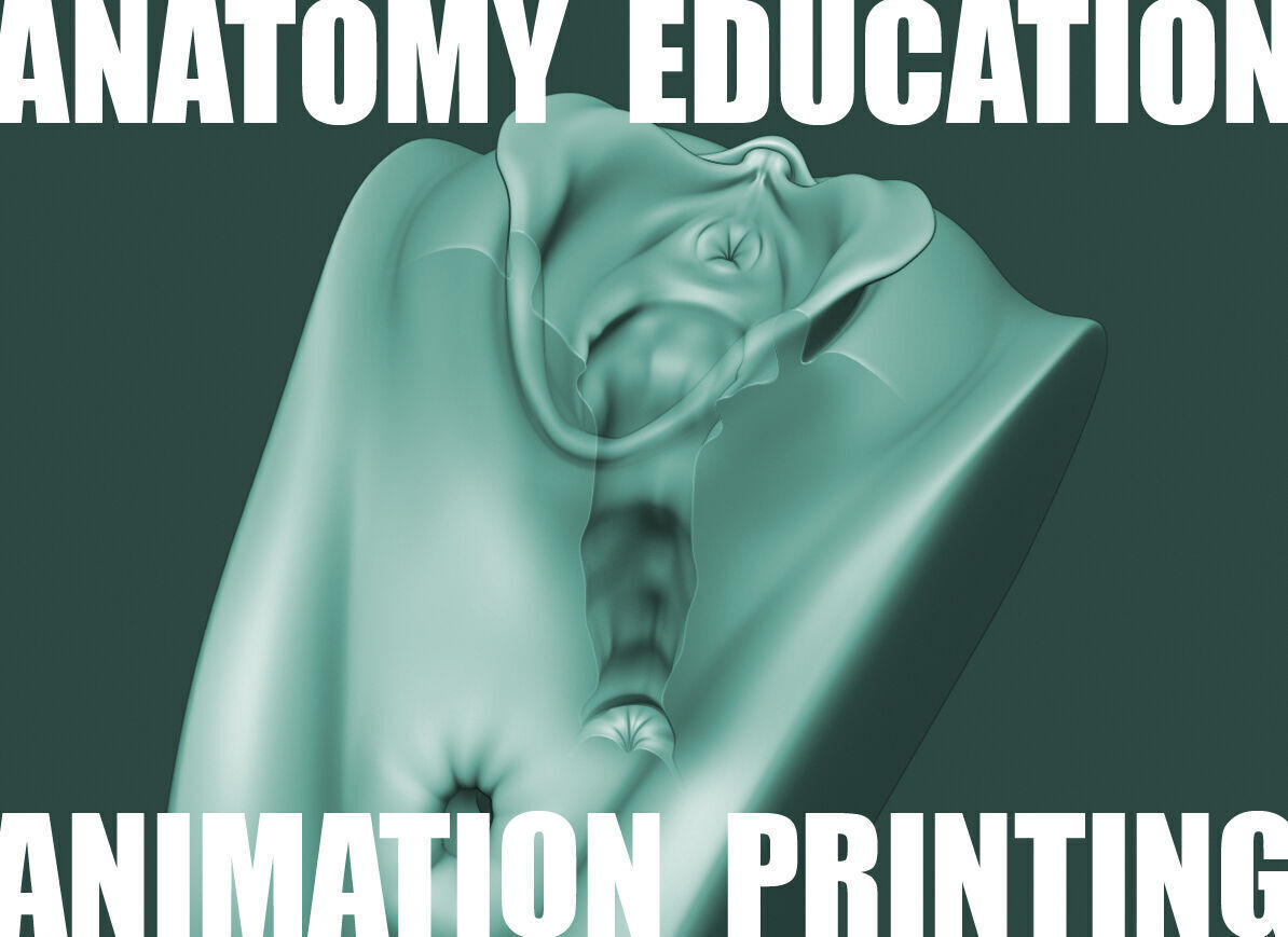 Female Genital Anatomy A-5 Low-poly 3D model_1