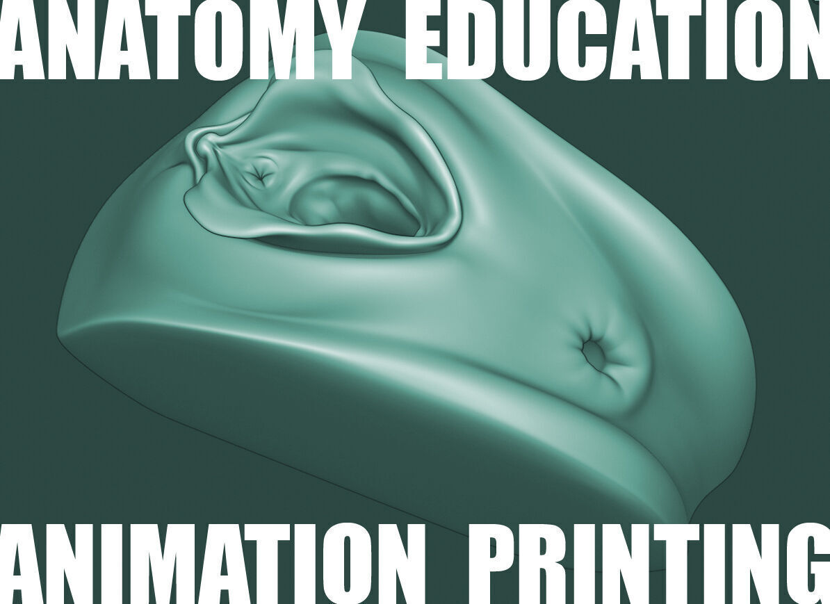 Female Genital Anatomy A-5 Low-poly 3D model_10