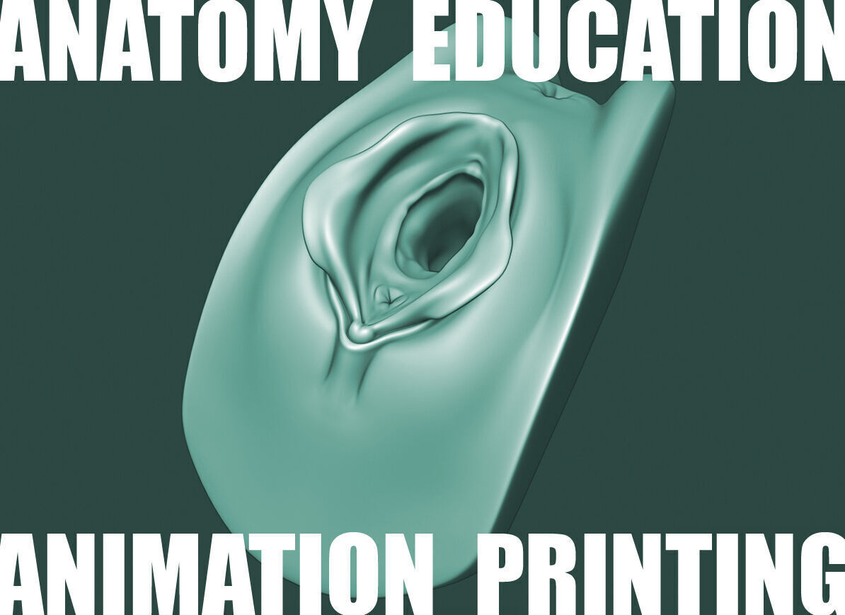 Female Genital Anatomy A-5 Low-poly 3D model_5