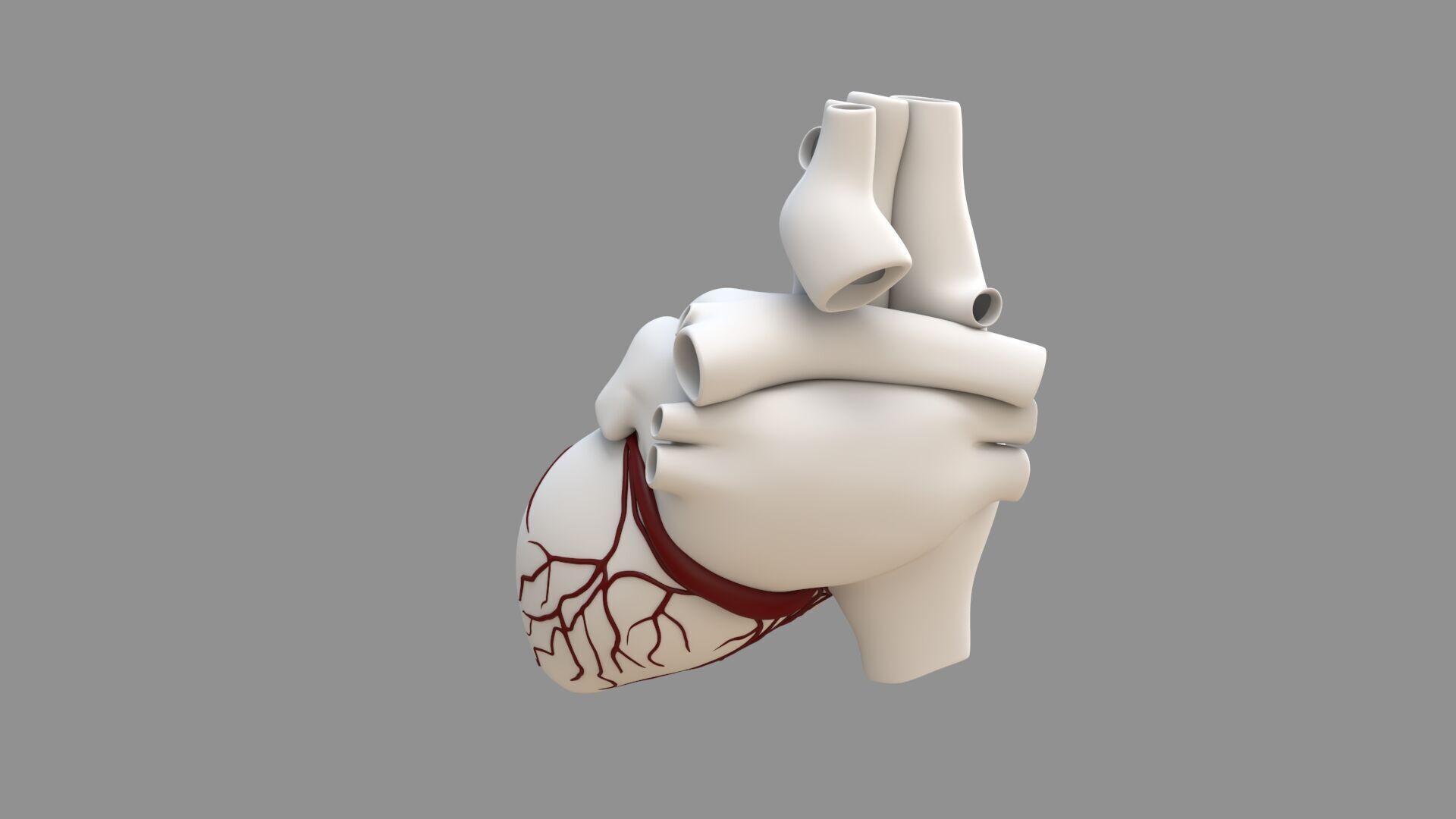 Heart black with red Veins  3D model_15