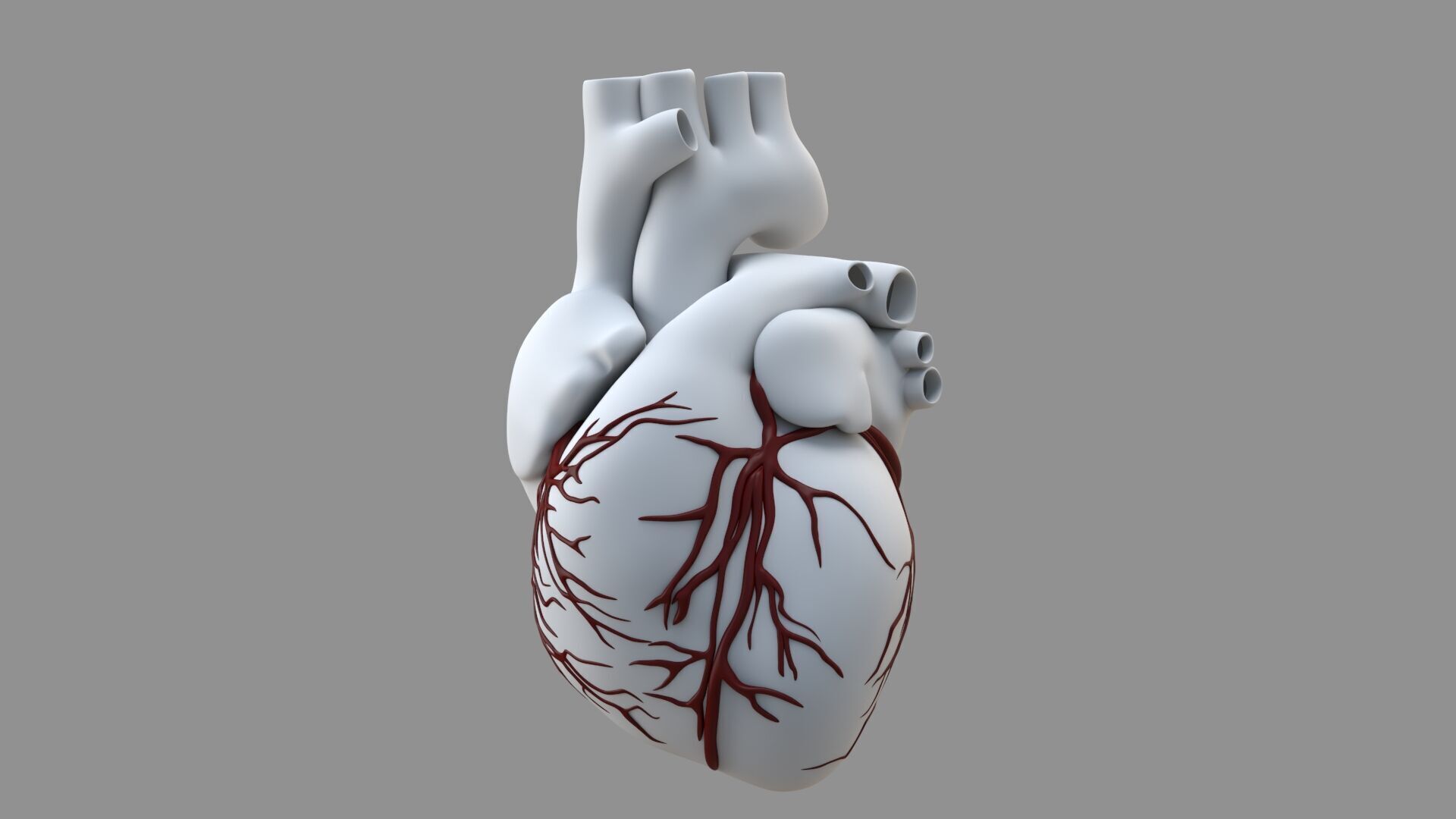Heart black with red Veins  3D model_18