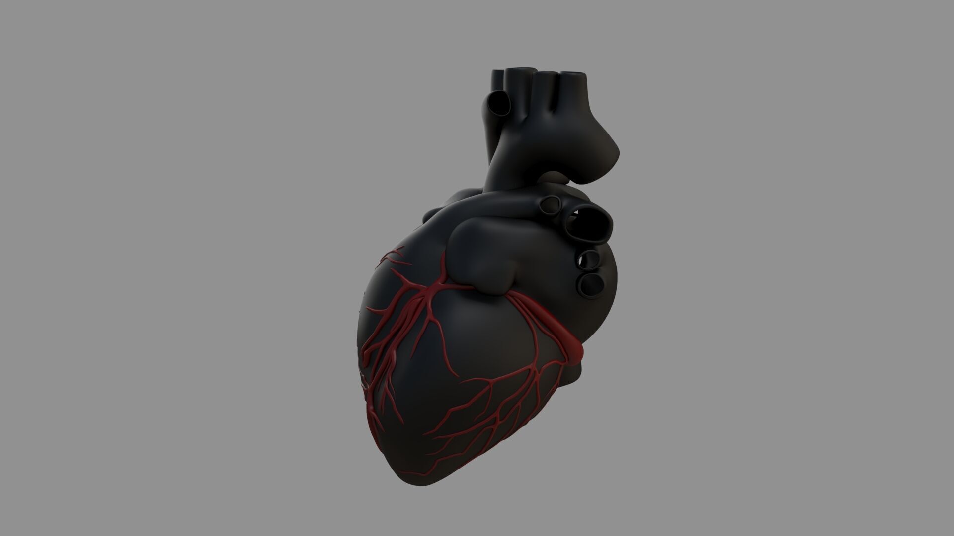 Heart black with red Veins  3D model_6