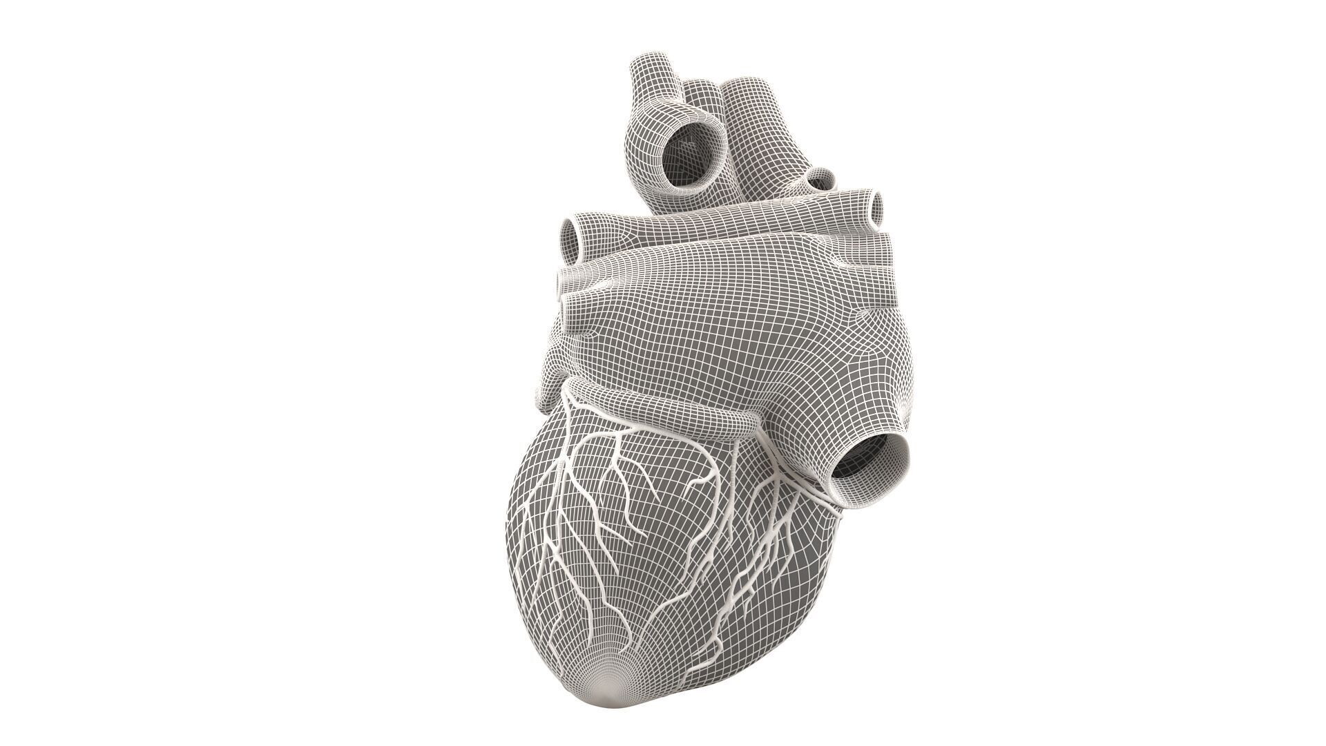 Heart black with red Veins  3D model_19