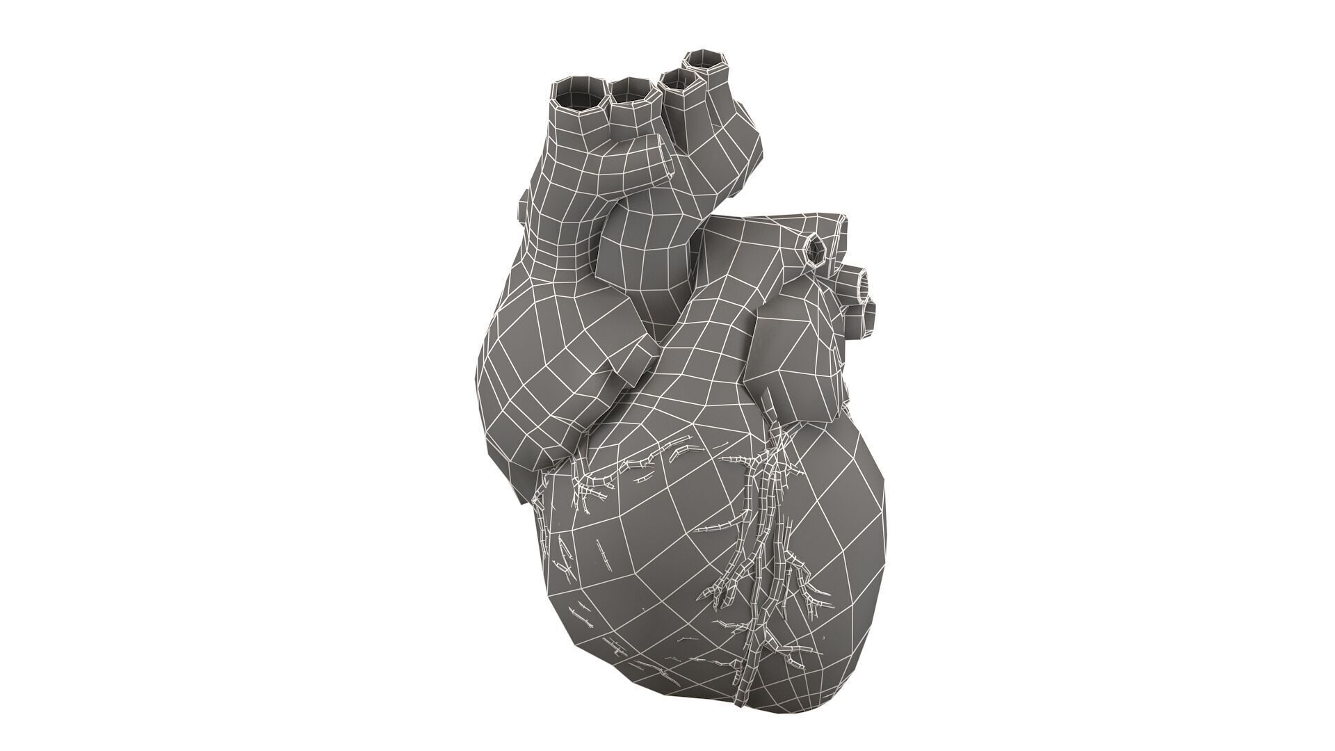 Heart black with red Veins  3D model_10
