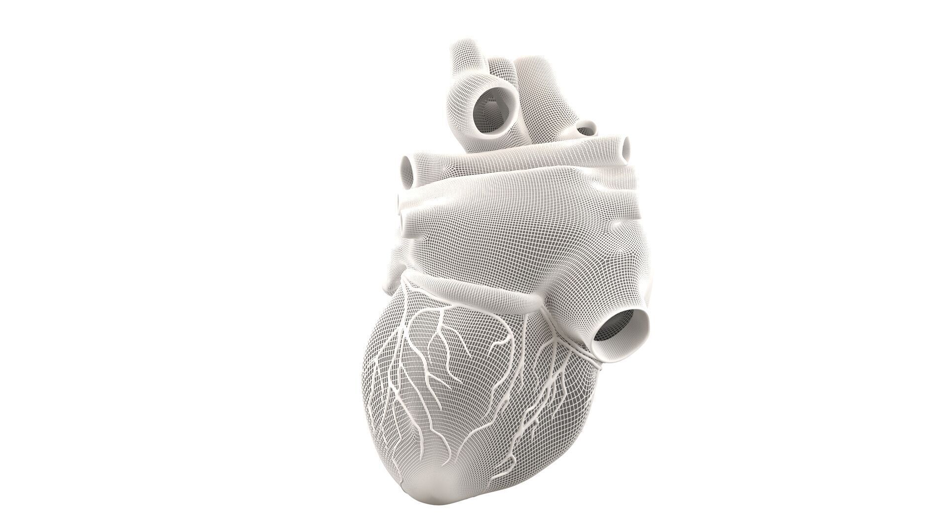 Heart black with red Veins  3D model_25