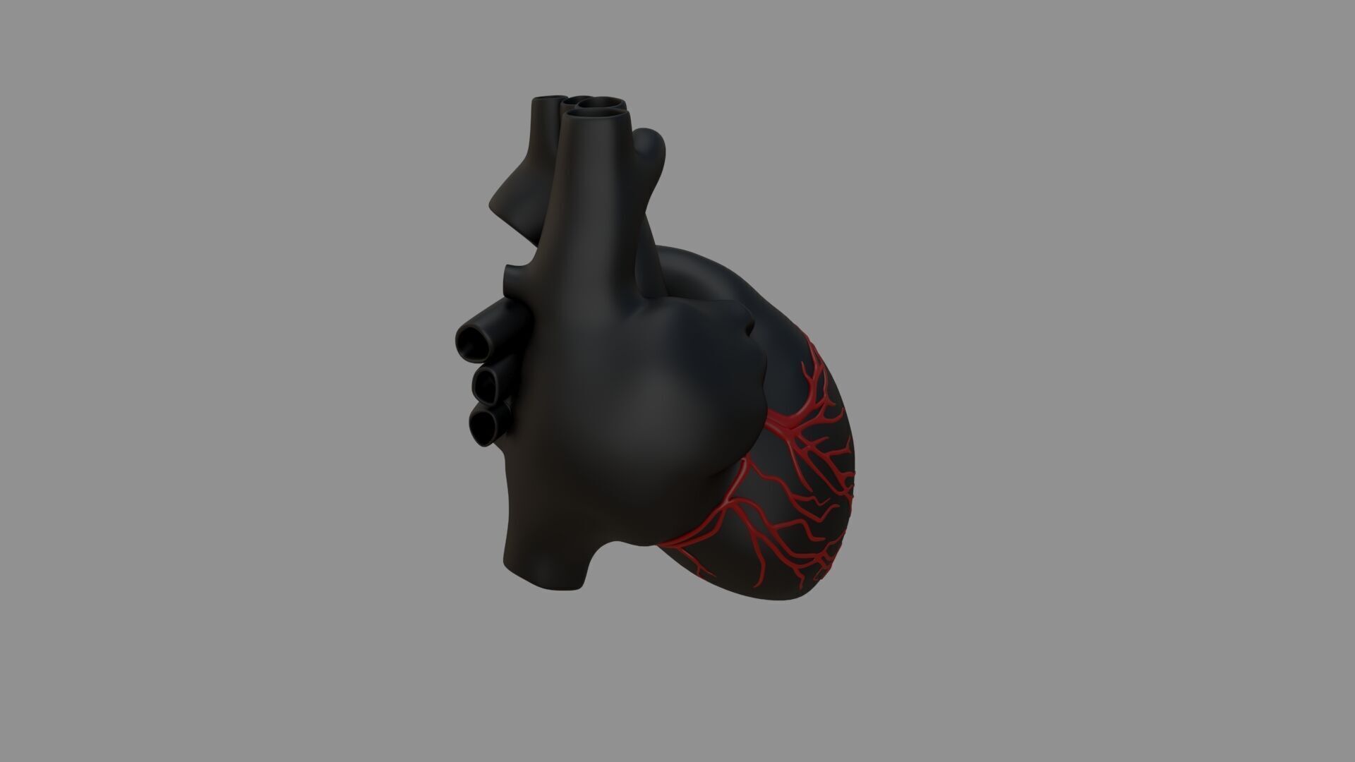 Heart black with red Veins  3D model_5