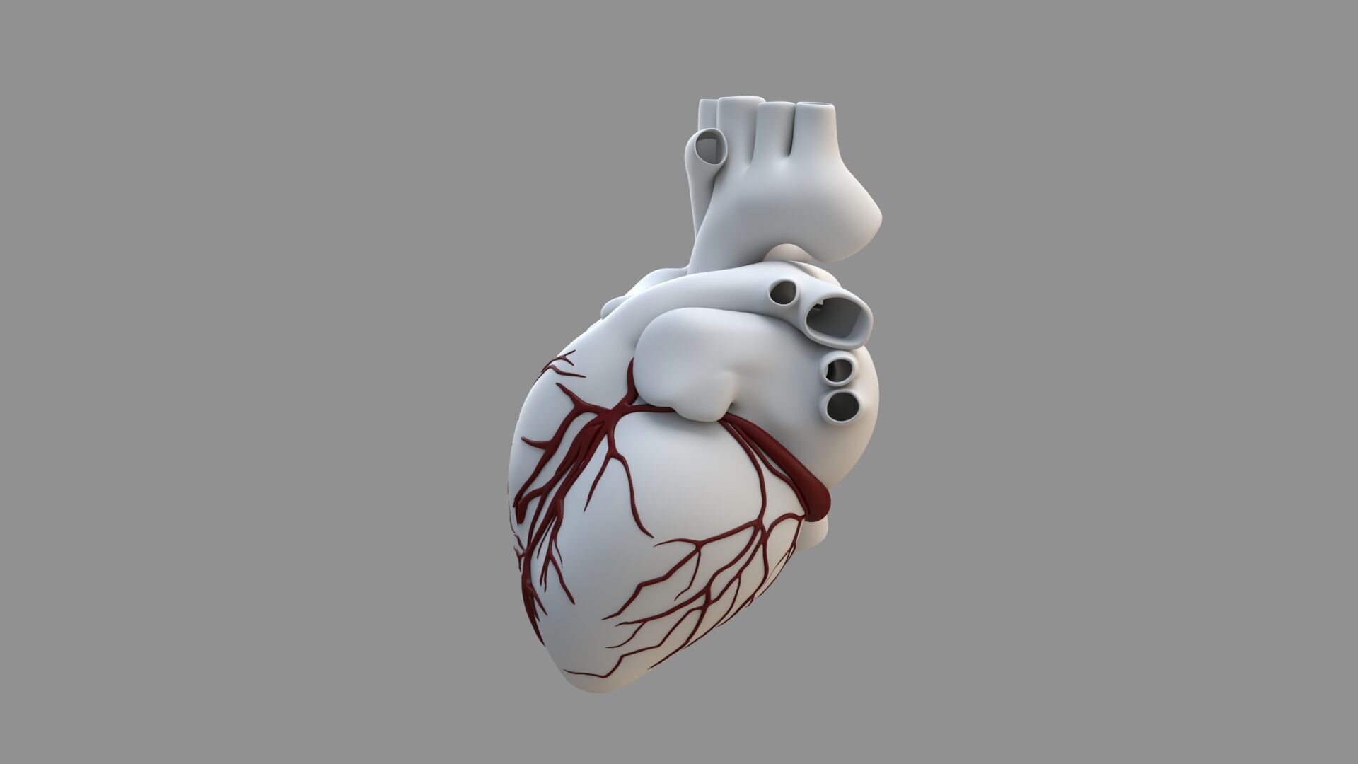 Heart black with red Veins  3D model_14