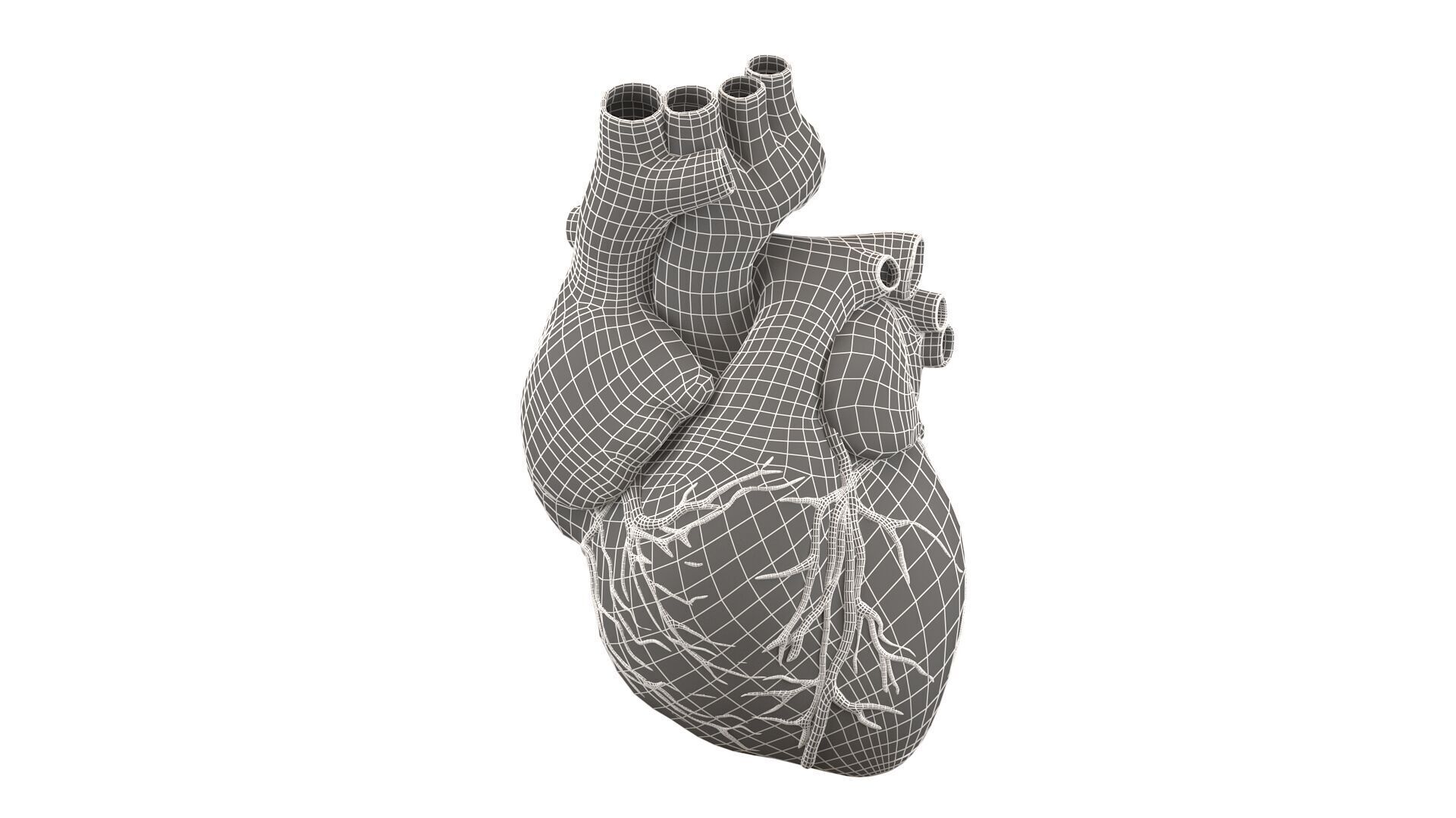 Heart black with red Veins  3D model_8