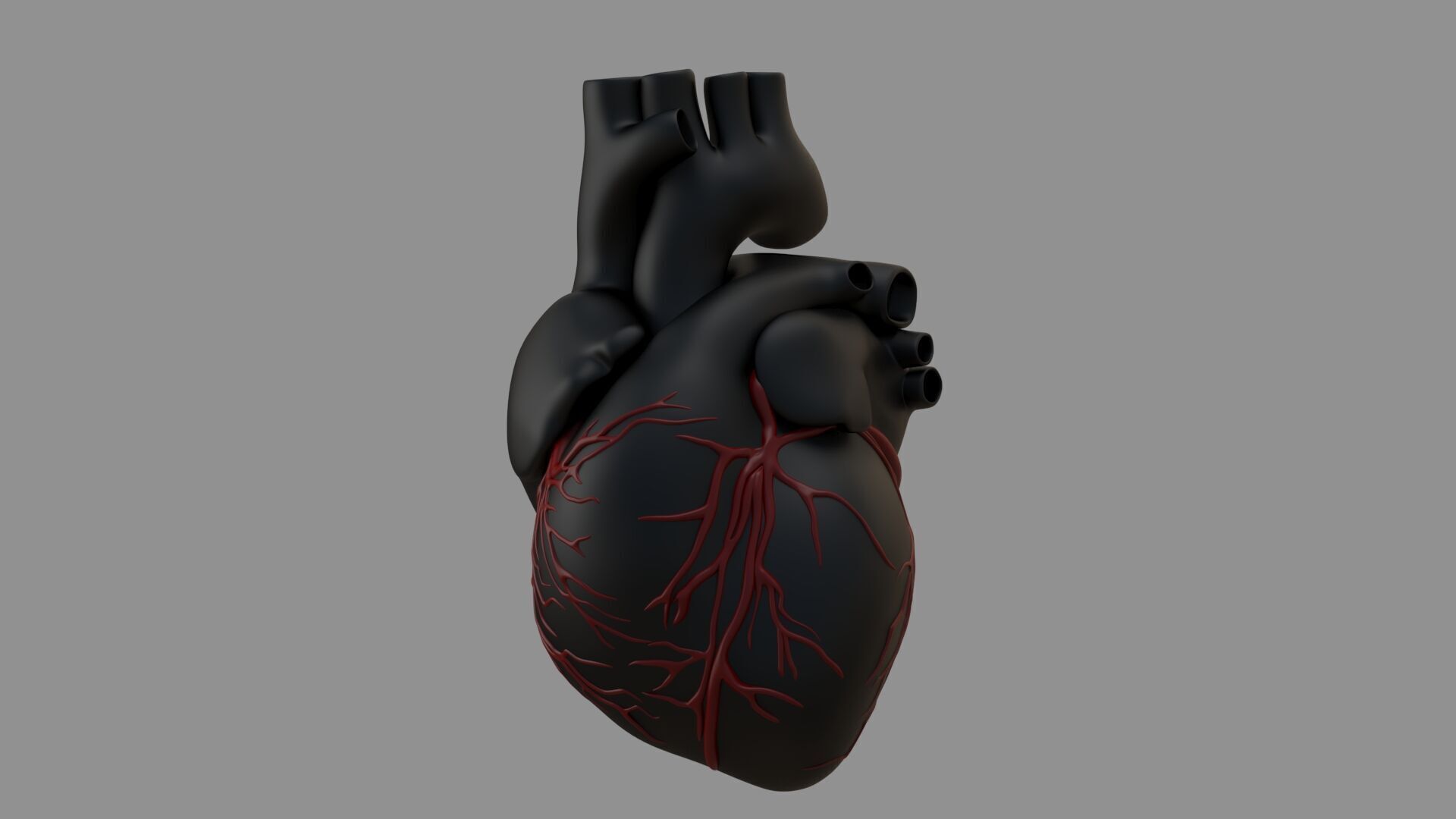 Heart black with red Veins  3D model_2