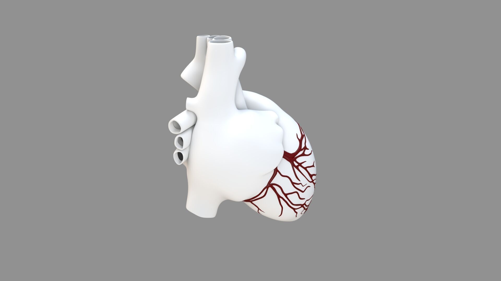 Heart black with red Veins  3D model_21