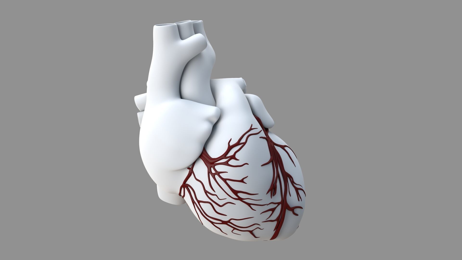 Heart black with red Veins  3D model_17
