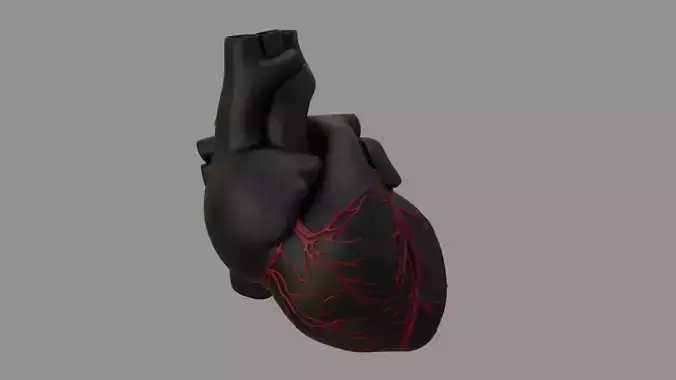 Heart black with red Veins  3D model
