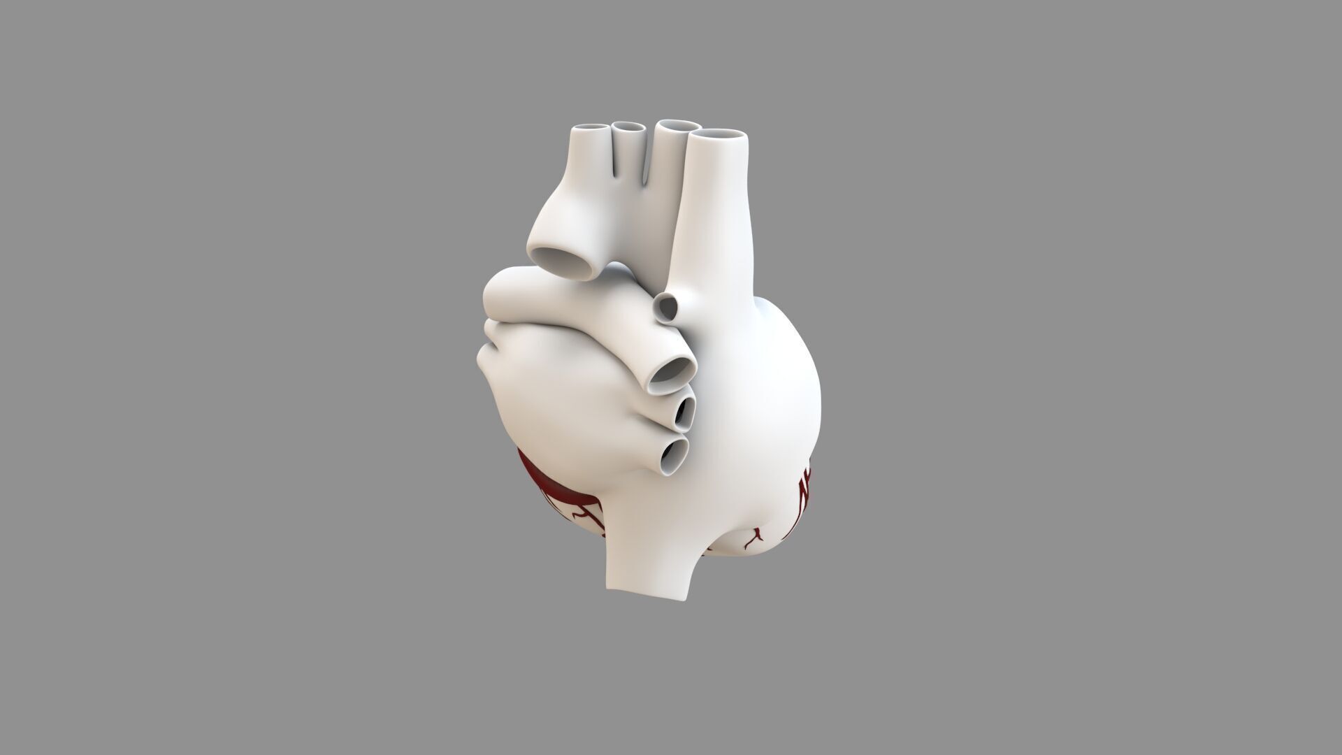 Heart black with red Veins  3D model_13