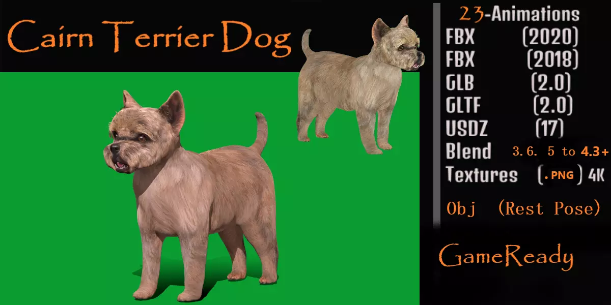 Cairn Terrier Dog Low-poly 3D model_0
