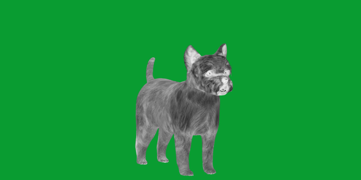 Cairn Terrier Dog Low-poly 3D model_4