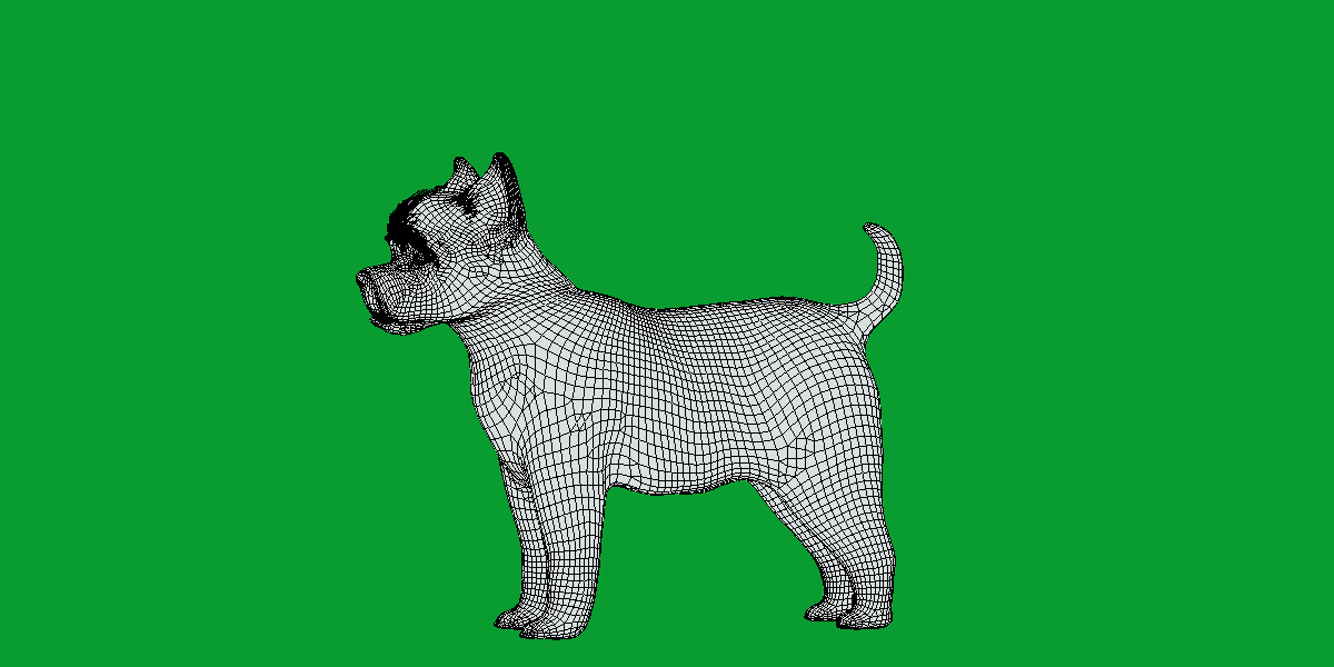 Cairn Terrier Dog Low-poly 3D model_8