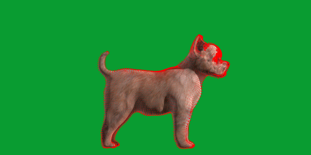 Cairn Terrier Dog Low-poly 3D model_10