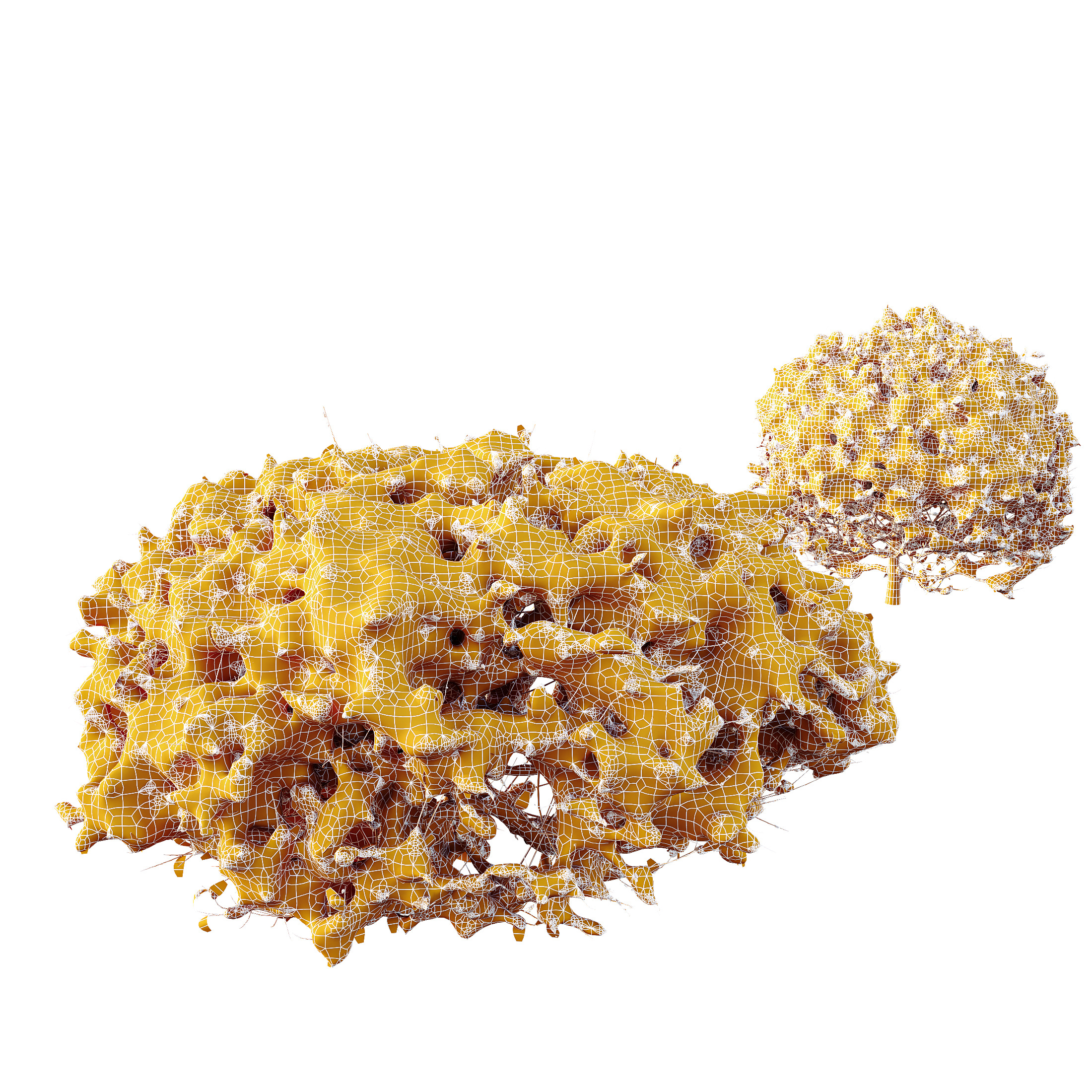 AV Plants Ligustrum Quihoui Privet Pruned Sphere Winter Snow 3D model_4