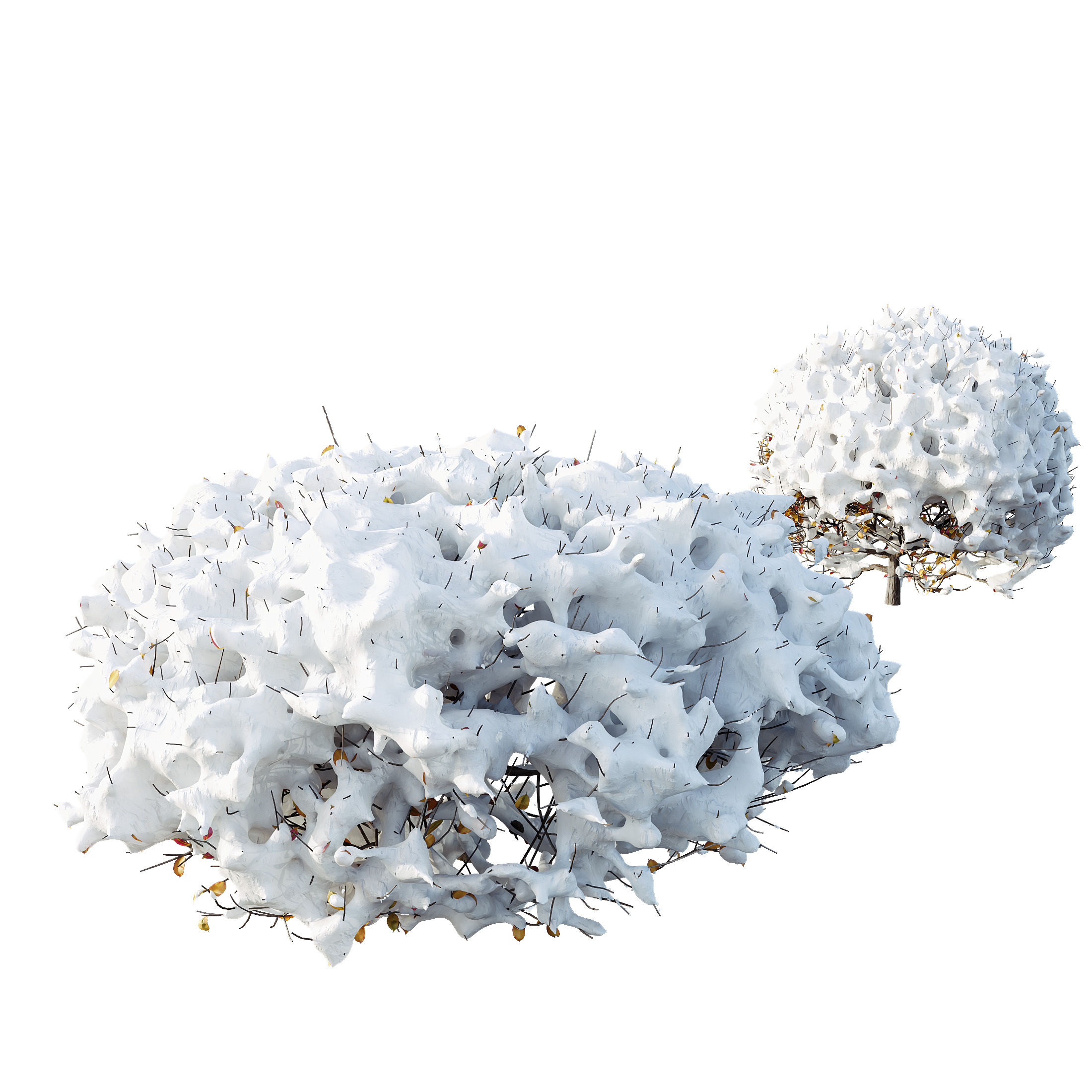 AV Plants Ligustrum Quihoui Privet Pruned Sphere Winter Snow 3D model_2