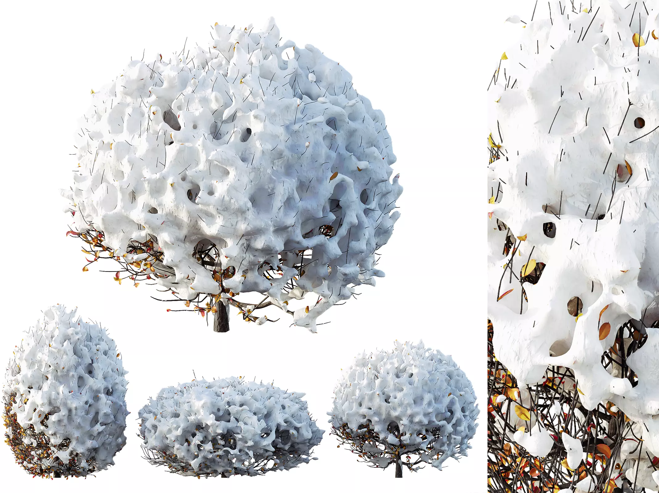 AV Plants Ligustrum Quihoui Privet Pruned Sphere Winter Snow 3D model_0