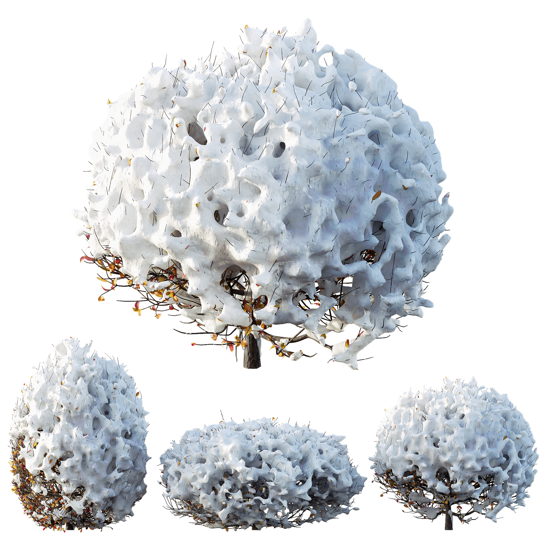 AV Plants Ligustrum Quihoui Privet Pruned Sphere Winter Snow 3D model_3