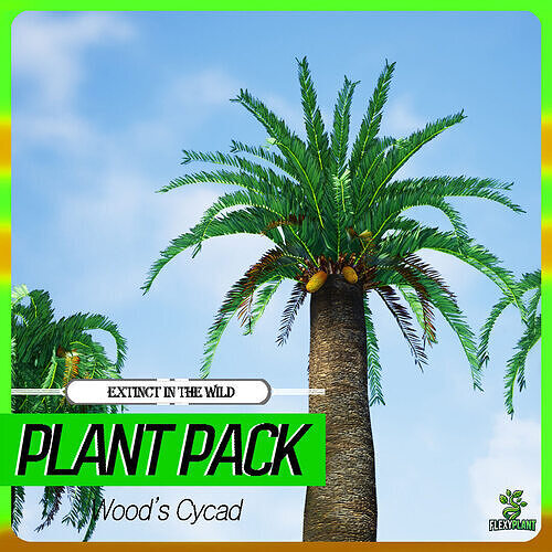 Extinct in the Wild Plant - 4 Woods Cycad Hawaii Tree Low-poly 3D model