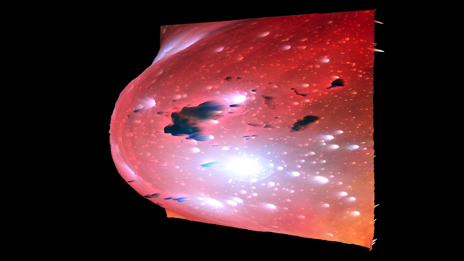 Running Chicken Nebula 3D model_5