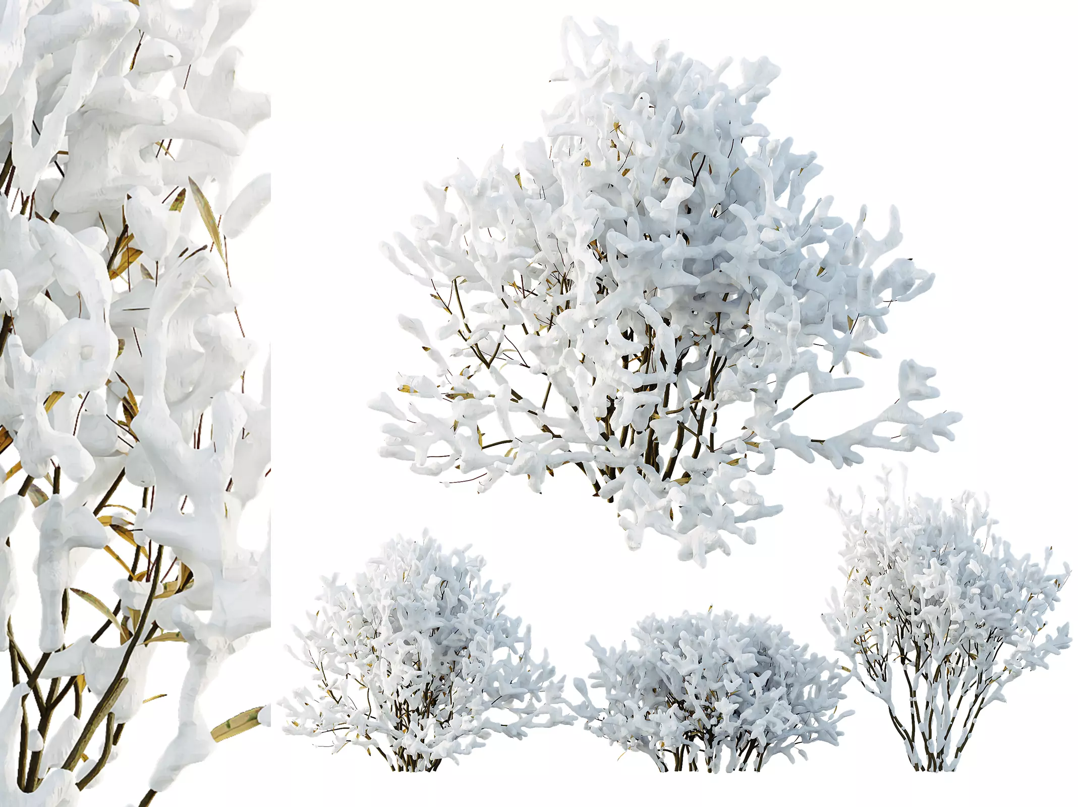 AV Plants Nerium Oleander Laurier Rose Pink Flower Winter Snow 3D model