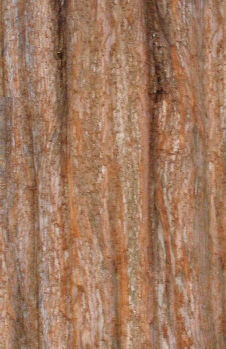 arazi - land - plot 3D model_19