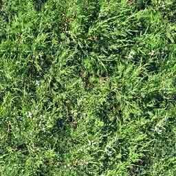 arazi - land - plot 3D model_16