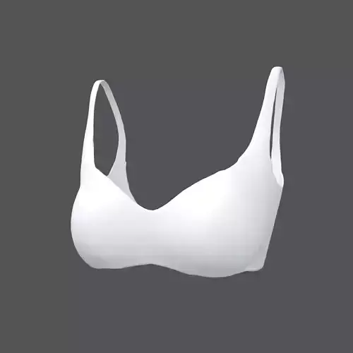 Bra Top v2 002