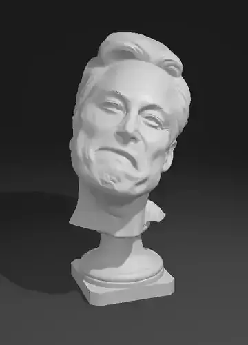 Elon Musk Portrait Head Sculture 3D print model