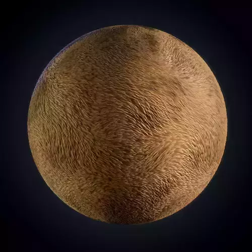 Fur - Vol 01 - SBsar - Maps Texture