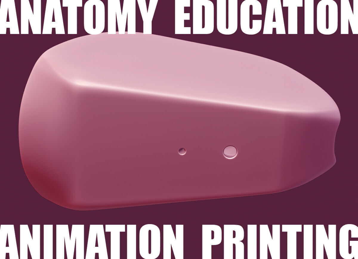 Female Genital Anatomy A-6 Low-poly 3D model_10