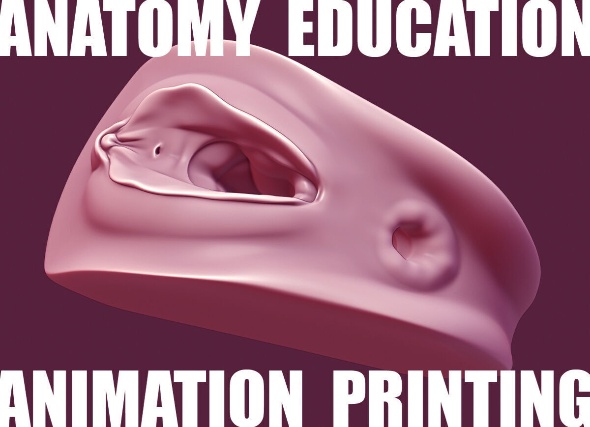 Female Genital Anatomy A-6 Low-poly 3D model_6