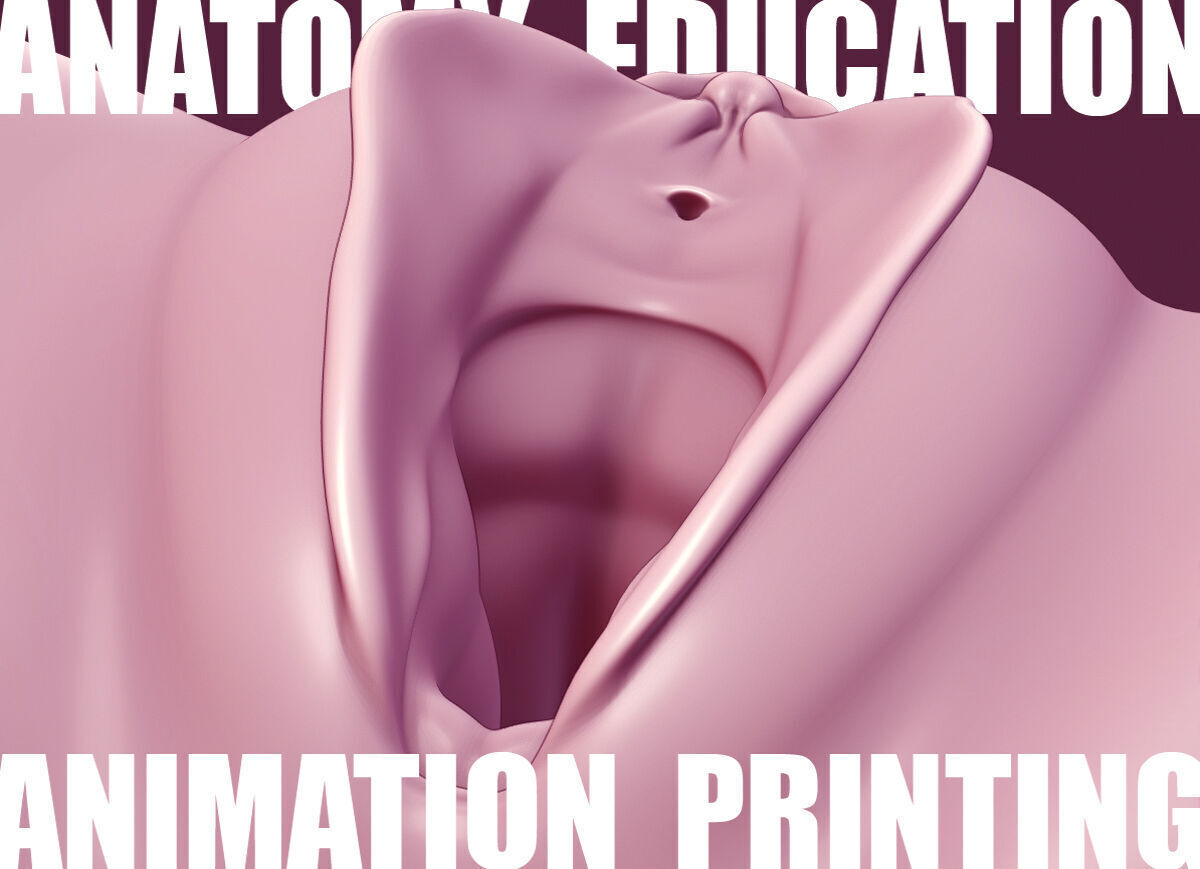 Female Genital Anatomy A-6 Low-poly 3D model_9