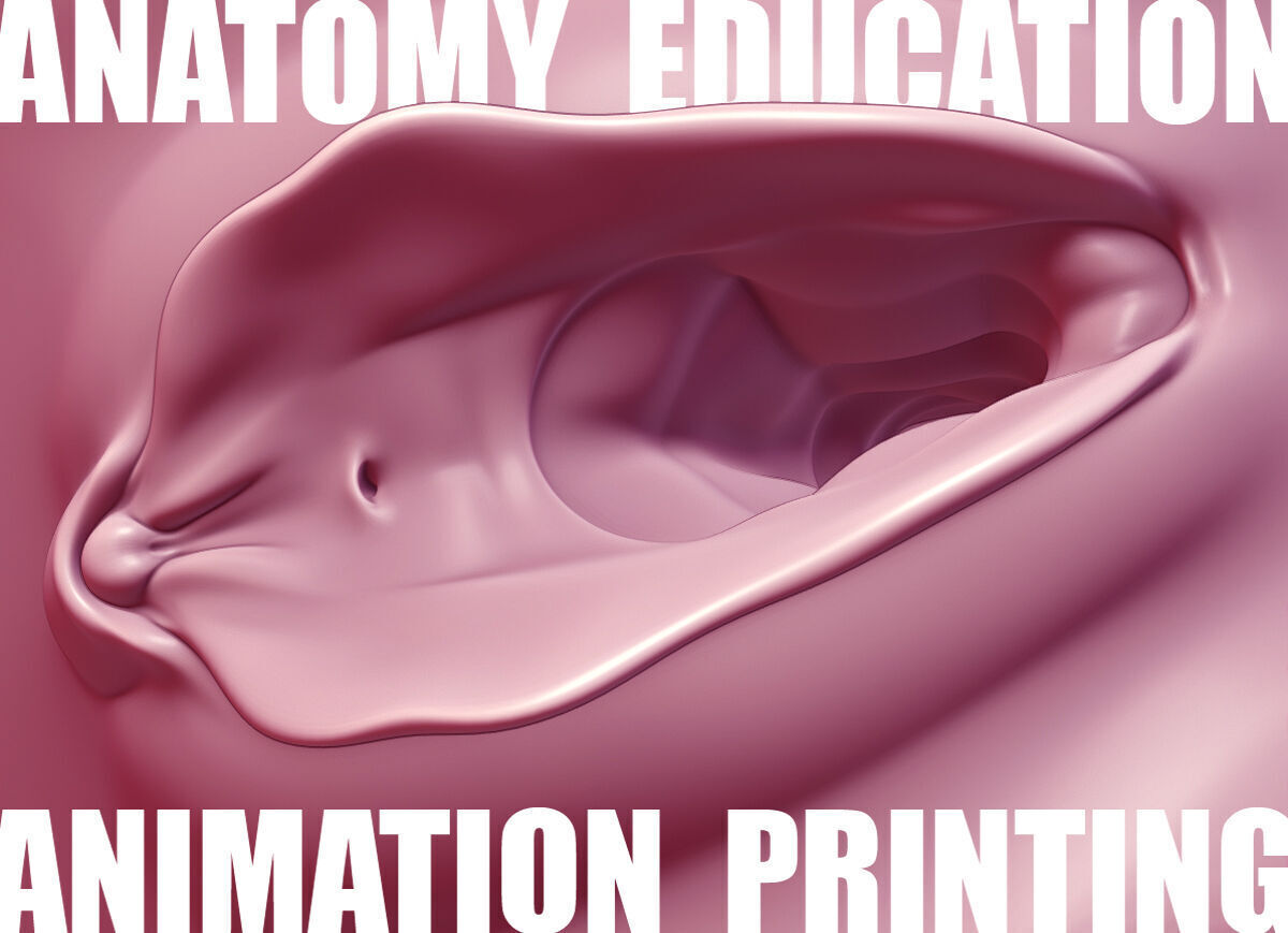 Female Genital Anatomy A-6 Low-poly 3D model_1