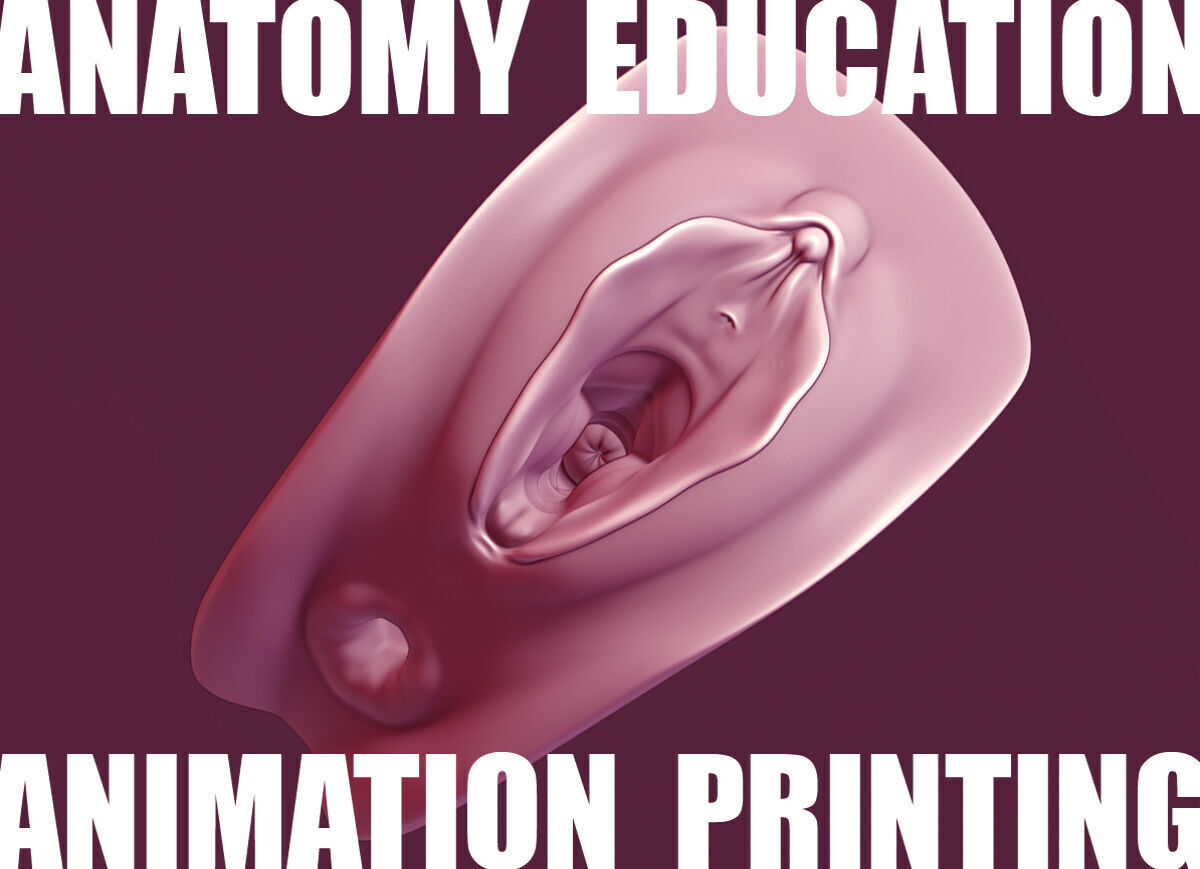 Female Genital Anatomy A-6 Low-poly 3D model_4