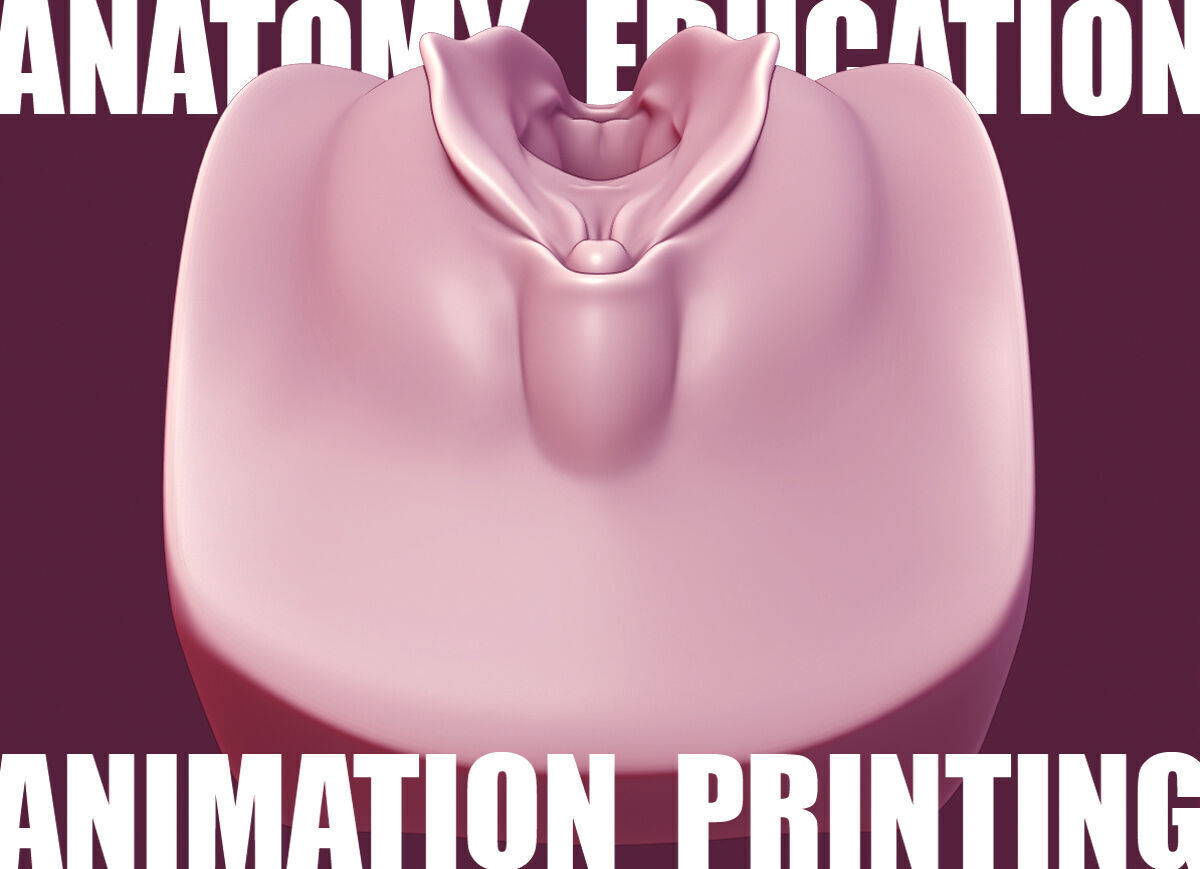 Female Genital Anatomy A-6 Low-poly 3D model_8